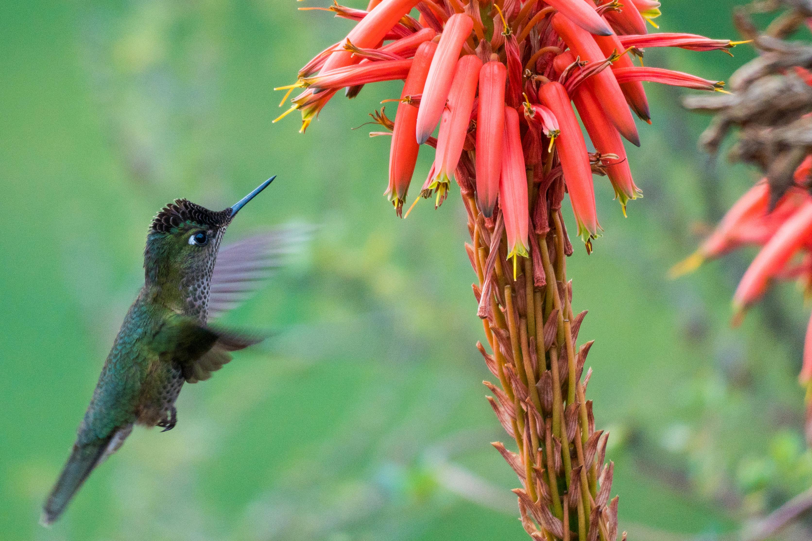 Best 5 Ways to Properly Nurture Mums in 2025: Achieve Vibrant Blooms