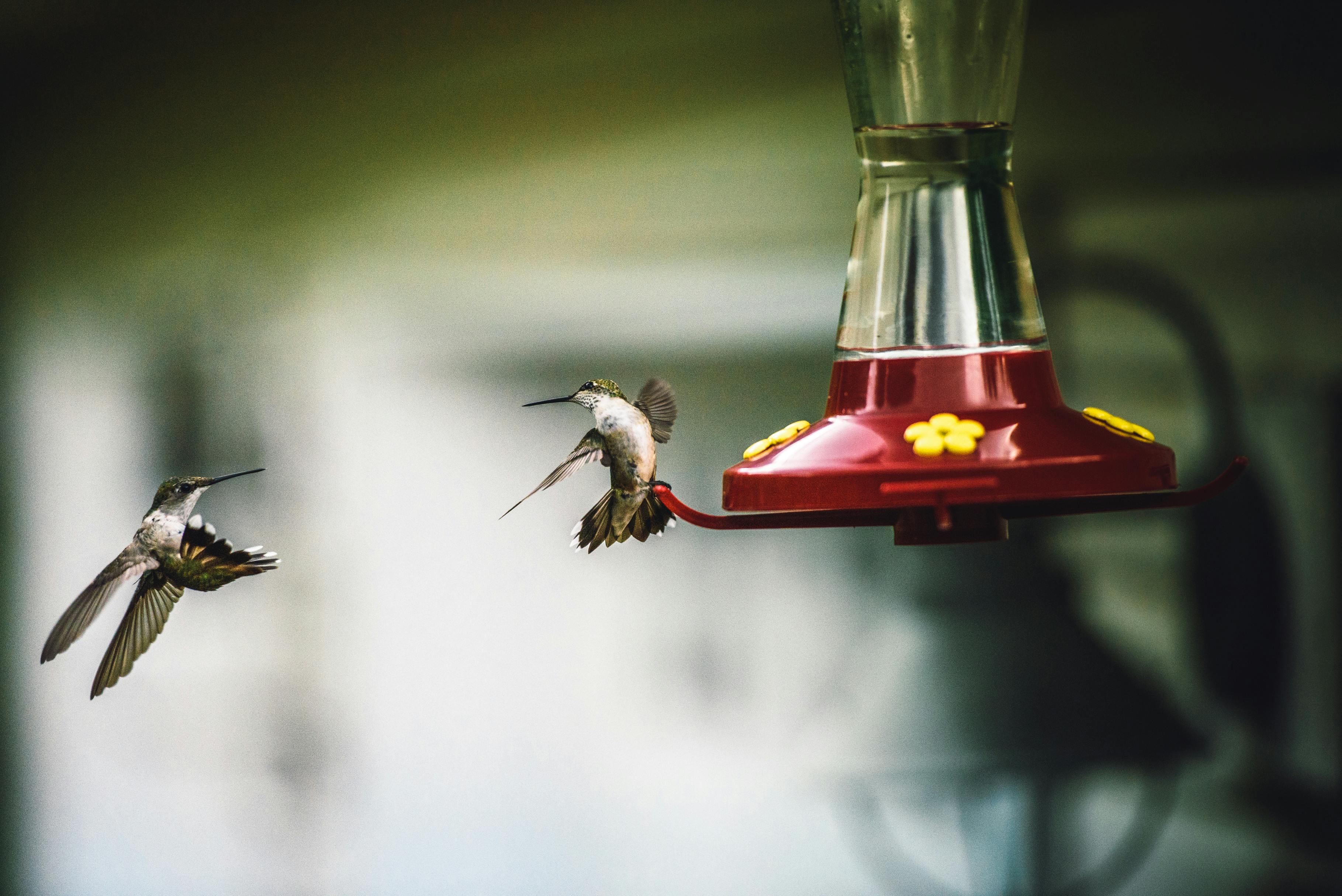 Effective Ways to Deal with Guilt in 2025: Find Out How to Move On