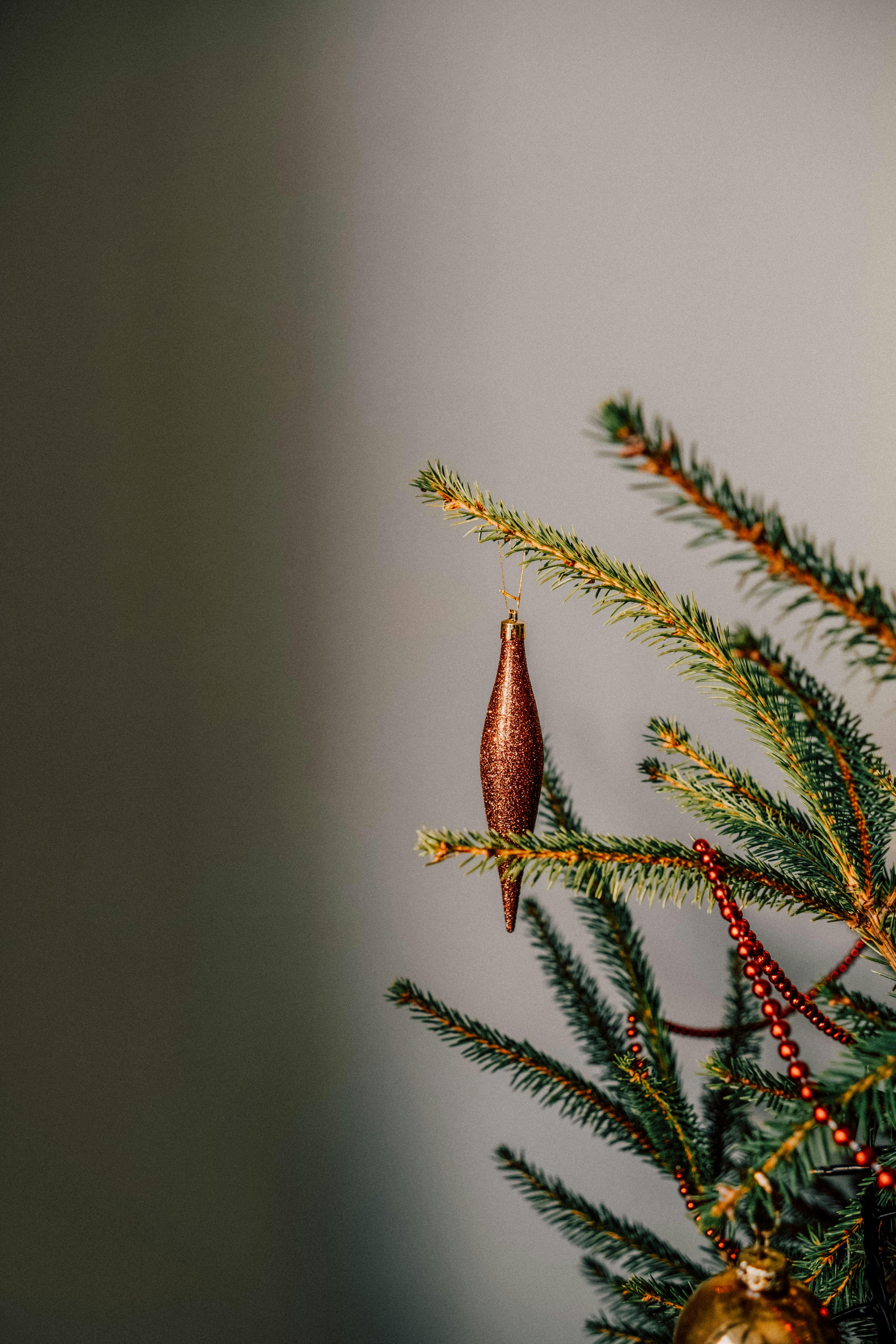 How to Properly Pay Yourself from Your LLC in 2025
