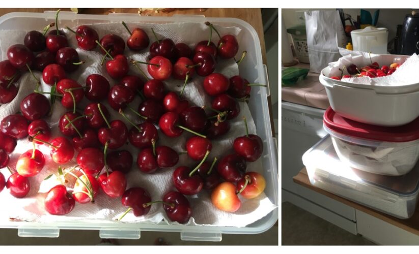 How to Properly Store Cherries for Maximum Freshness in 2025