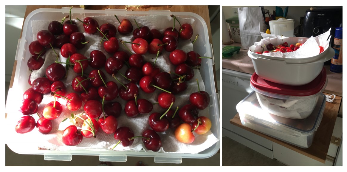 How to Properly Store Cherries for Maximum Freshness in 2025