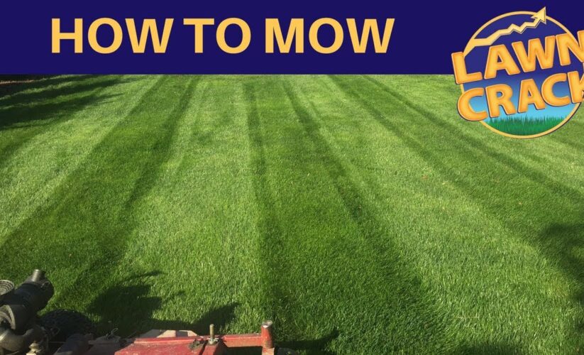 How to Properly Mow Your Lawn in 2025 for a Greener Garden