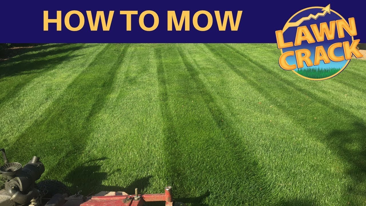 How to Properly Mow Your Lawn in 2025 for a Greener Garden