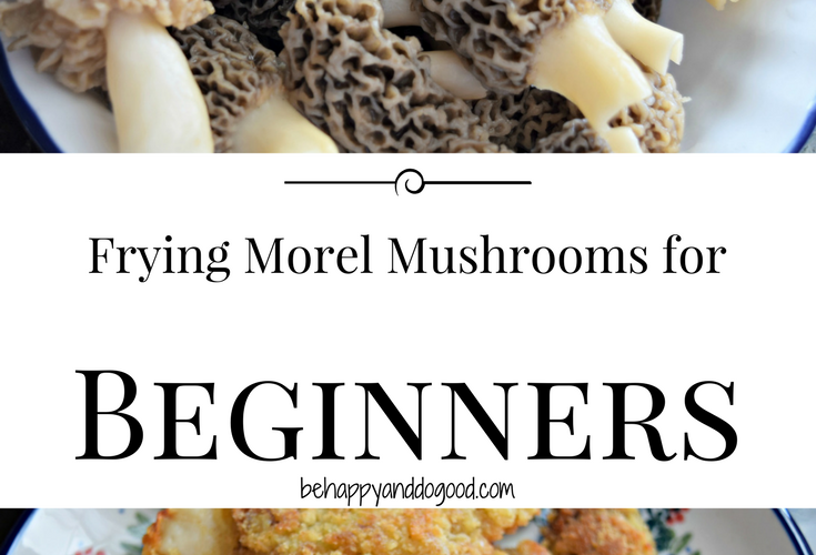 Effective Ways to Cook Morel Mushrooms for a Delicious Meal in 2025