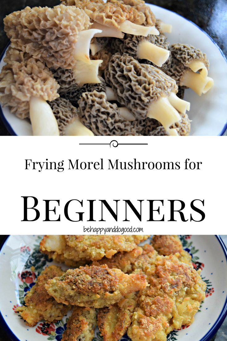 Effective Ways to Cook Morel Mushrooms for a Delicious Meal in 2025