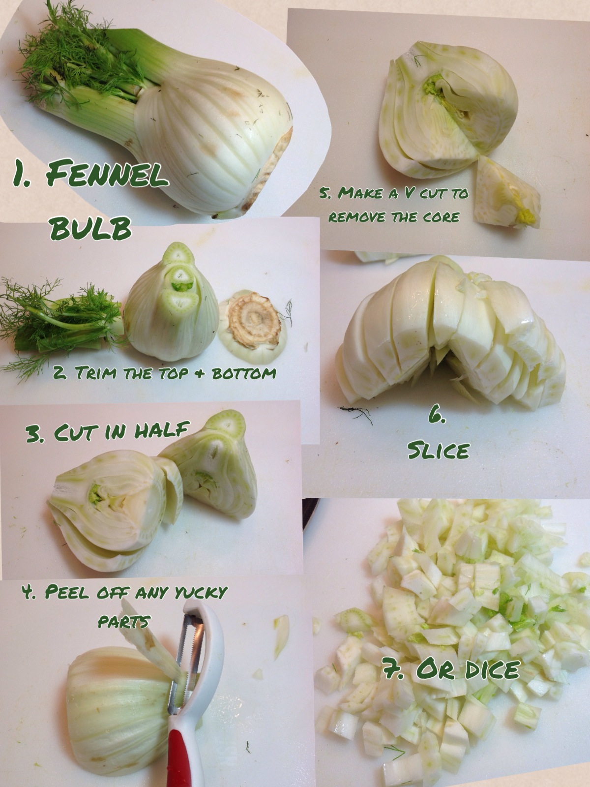 How to Properly Cut Fennel for Delicious Recipes in 2025: Easy Guide