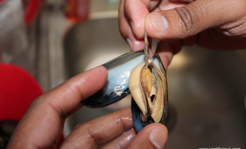 Essential Guide to How to Clean Mussels for Delicious Meals in 2025