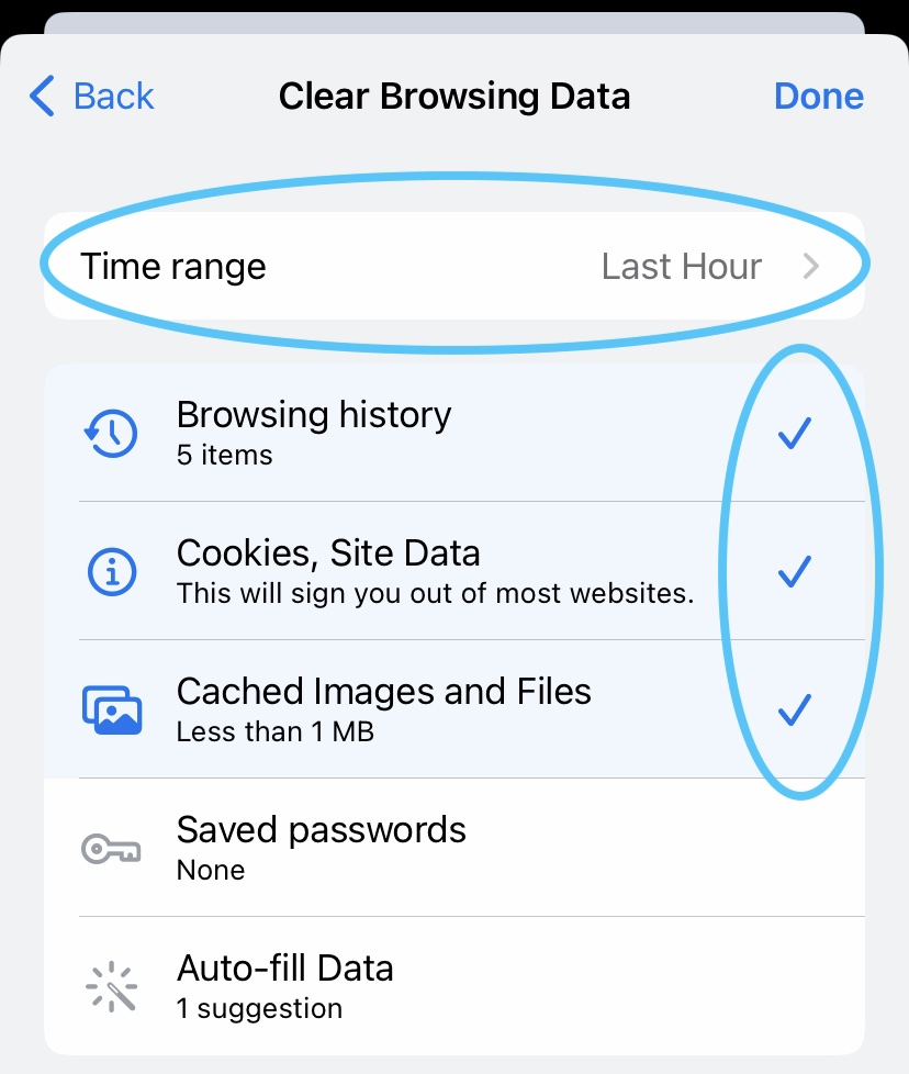 How to Effectively Clear Browser History on iPhone in 2025: Simple Steps to Improve Privacy