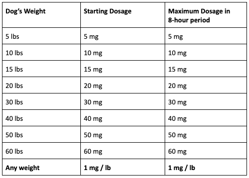 How to Safely Administer Benadryl to Your Dog: Essential 2025 Guide to Dosage and Usage