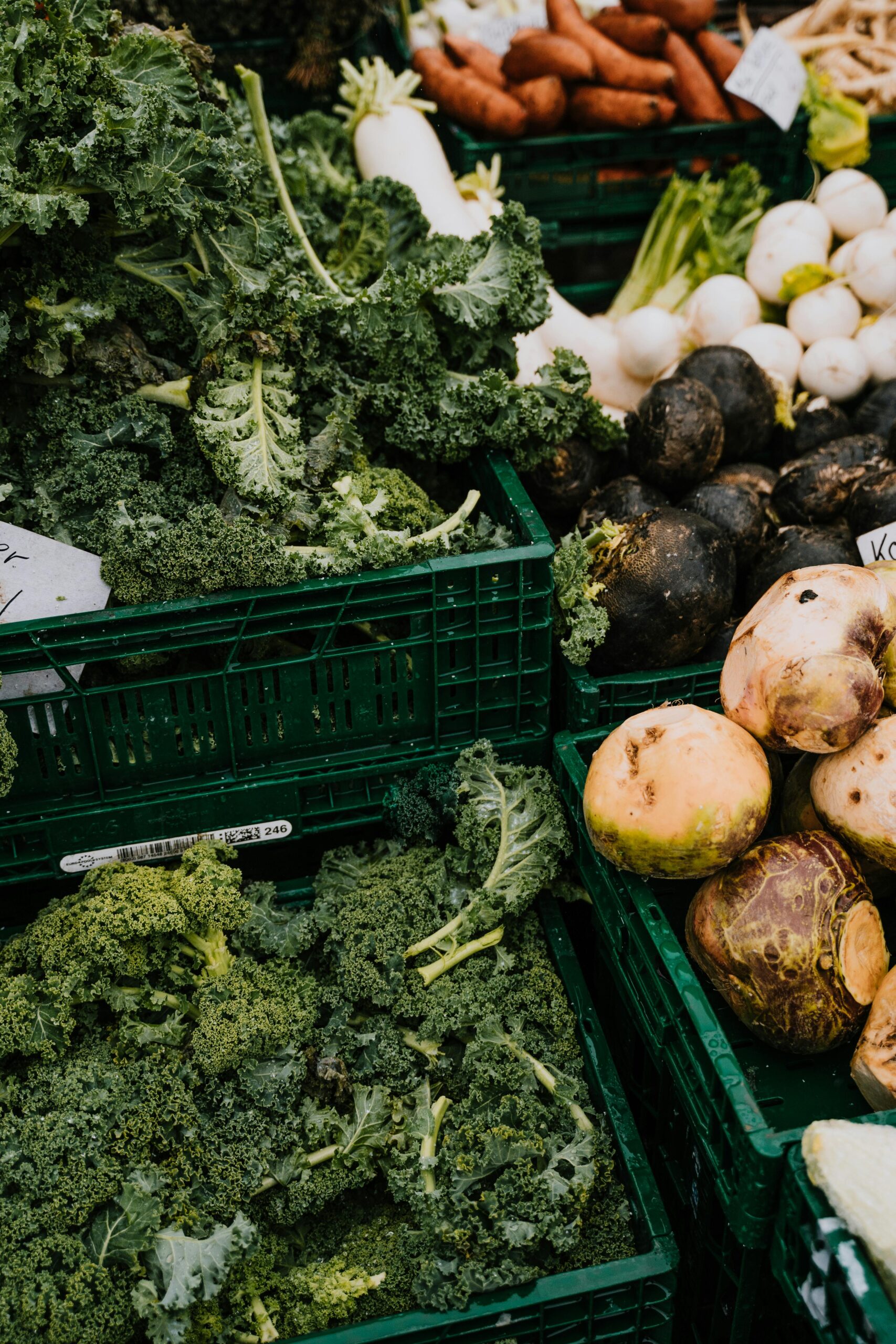 How to Properly Cook Rutabaga: 5 Practical Ways to Enhance Flavor in 2025